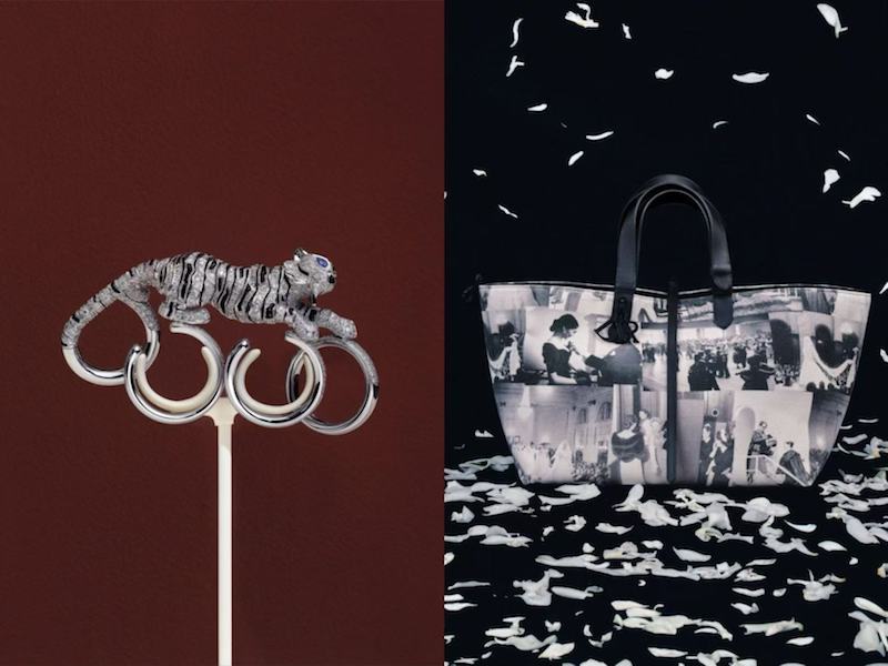 应对市场新常态 动态影像视觉创意设计重塑奢侈品未来